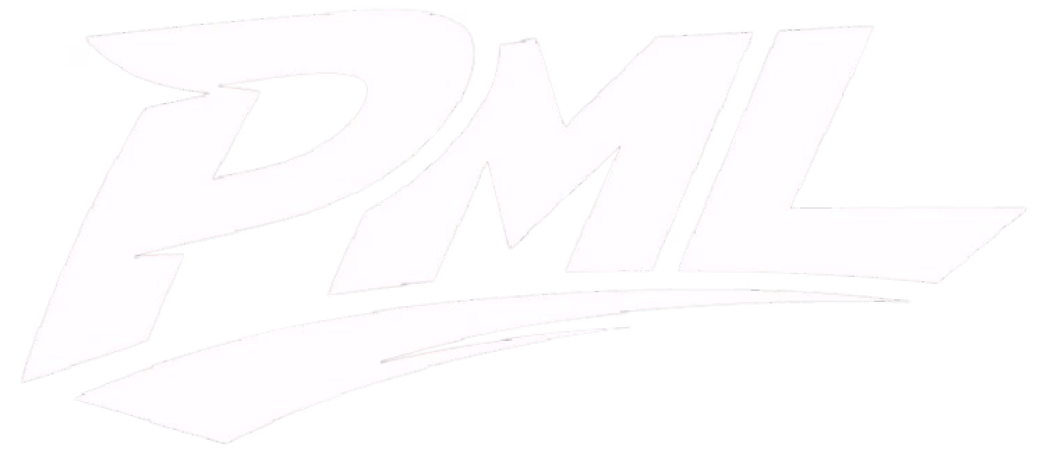 Logo Veille Studio